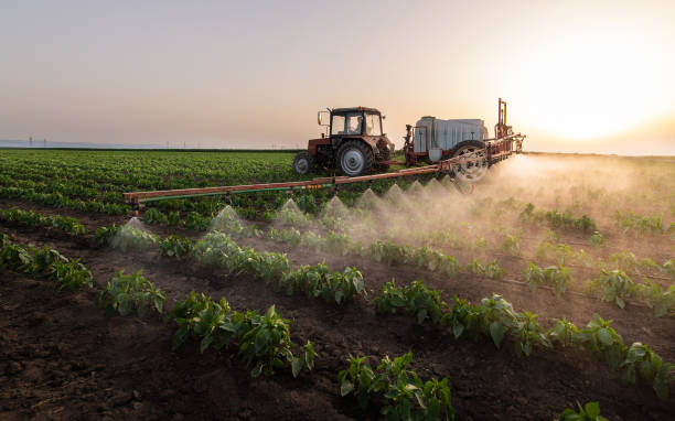 Best Commercial Pest Control Services  in Princess Anne, MD