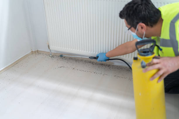 Pest Prevention Services in Princess Anne, MD