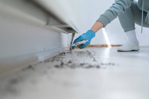 Best Pest Control for Restaurants  in Princess Anne, MD