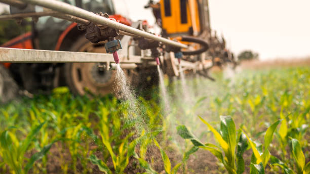 Best Mosquito Control Services  in Princess Anne, MD