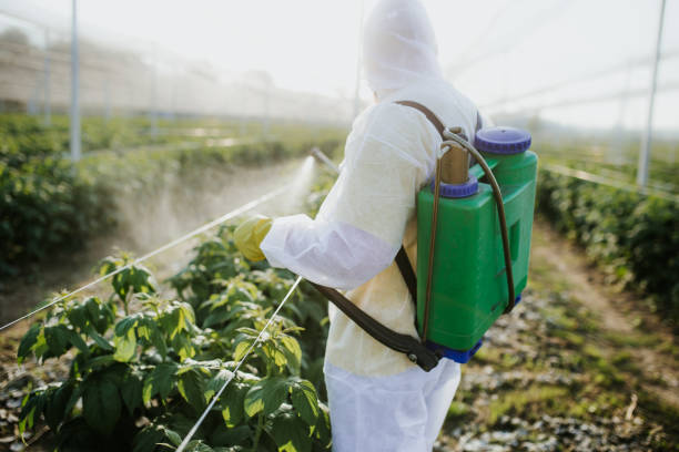 Best Residential Pest Control  in Princess Anne, MD